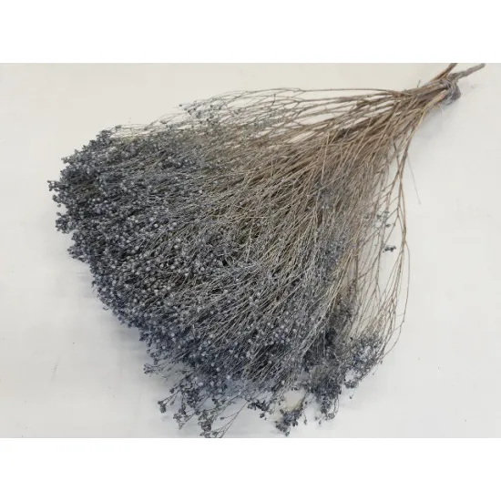 Broom bloom grijs +/-100gr