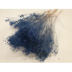 Broom bloom bleu clair +/-100gr