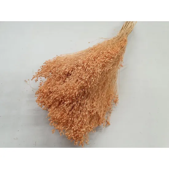 Broom bloom melon +/-100gr