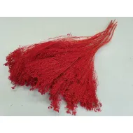Broom bloom rouge +/-100gr