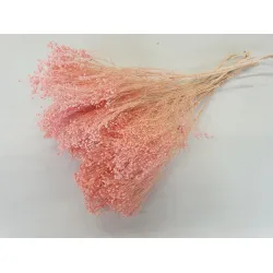 Broom bloom rose +/-100gr