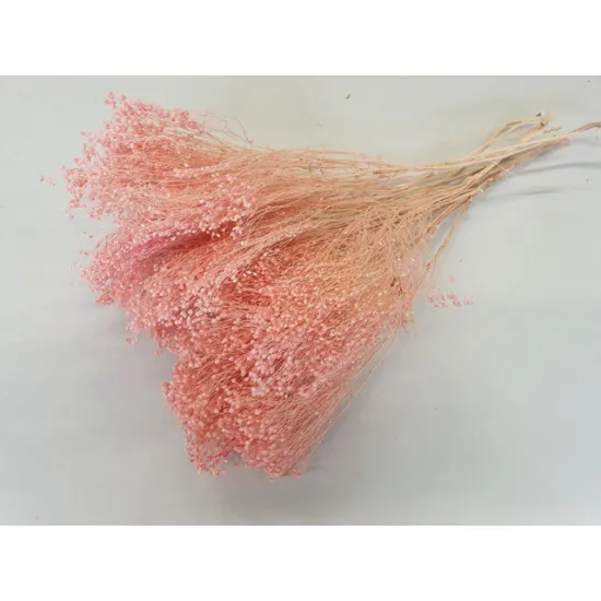 Broom bloom roze +/-100gr