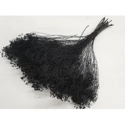 Broom bloom noir +/-100gr