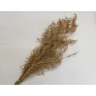 Brizonne naturel +/-50gr