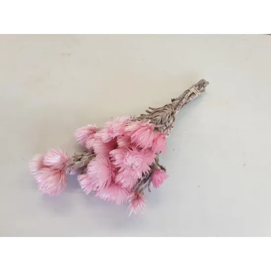 Capblumen large 30cm rose  +/-50gr