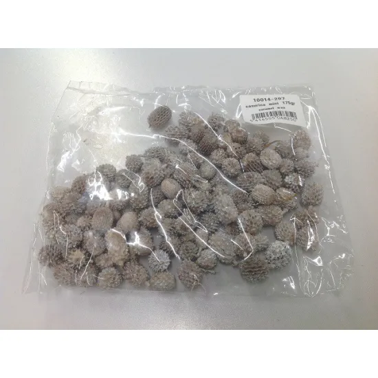 Casurina mini caramel wax 175gr