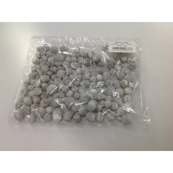Casurina mini white wax 175gr