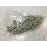 Casurina sur tige antique olive wax 110gr