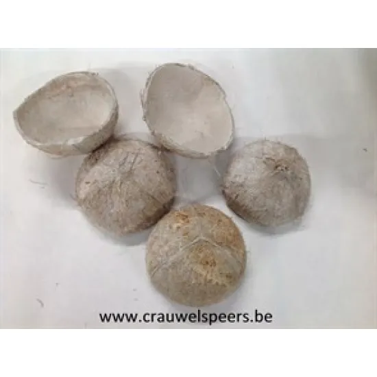 Coco nut shell half white wash 5pcs