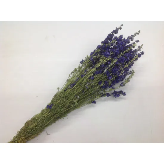 Delphinium bleu naturel