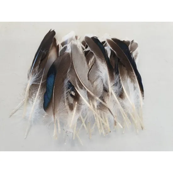 Duck feathers 10-15cm natural 50pcs