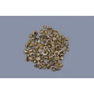 Eucalyptus pods (fruit) or +/-500gr