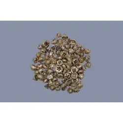 Eucalyptus fruit (pods) goud +/-500gr