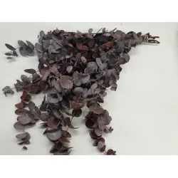 Eucalyptus spiralus stabilise bordeaux +/-250gr