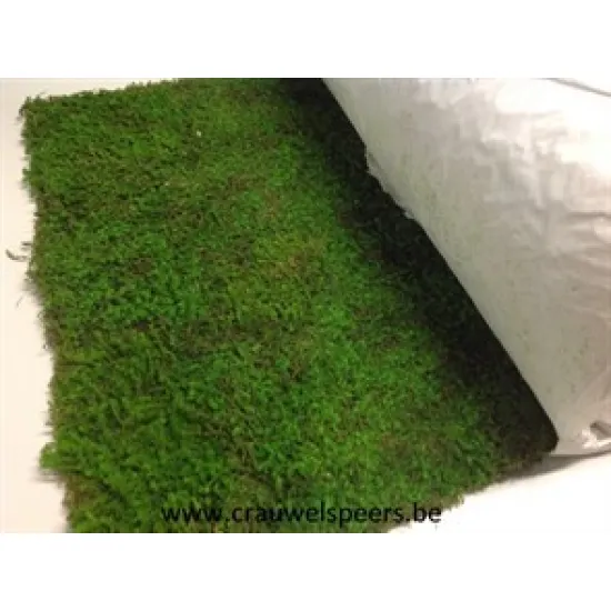 Geconserveerd mos groen op rol 50cmx300cm 1st
