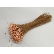 Glixia melon +/-100gr