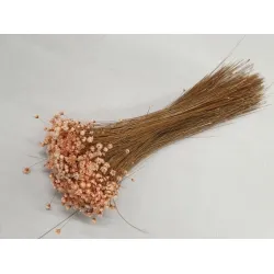 Glixia melone +/-100gr