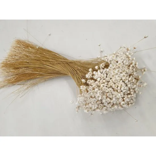 Glixia blanc +/-100gr