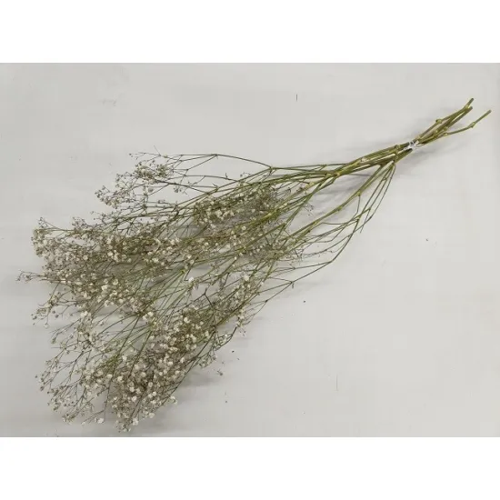 Gypsophila natural white 5pcs