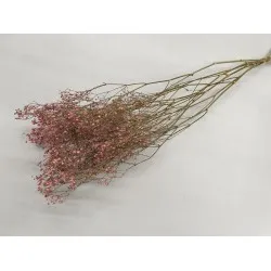 Gypsophila pink 5pcs