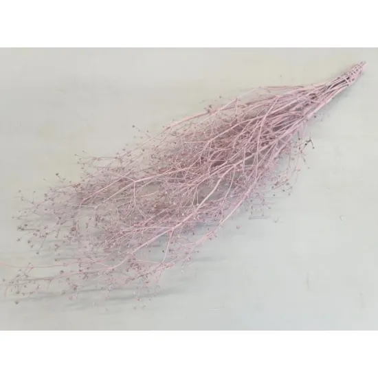 Gypsophila wild light pink