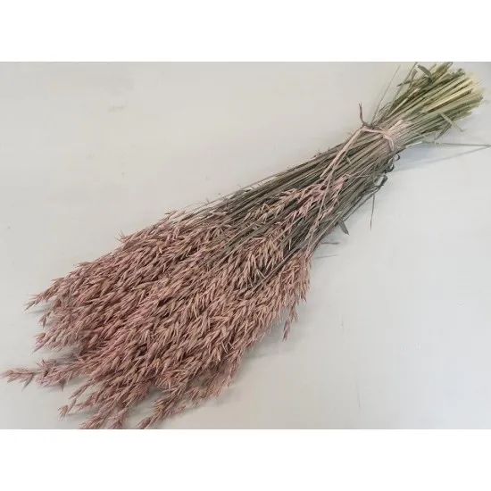 Avoine frosted pink