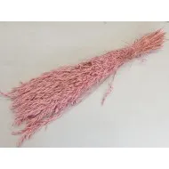 Haver poederroos +/-100gr