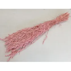 Avoine rose clair +/-100gr