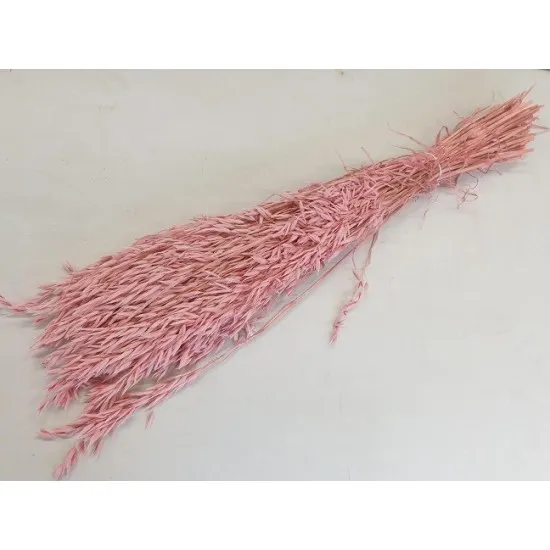 Avoine rose clair +/-100gr