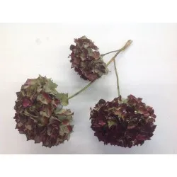 Hortensia naturel 3pcs
