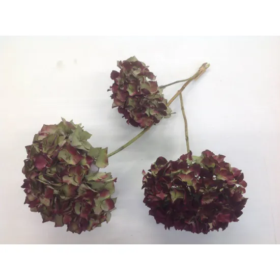 Hortensia naturel 3st