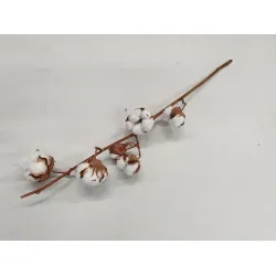 Branche de coton naturel 1pc