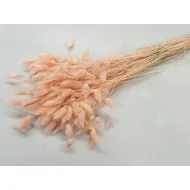 Lagurus ovatus melone +/-100gr