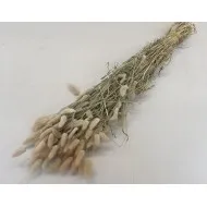 Lagurus ovatus naturel +/-100gr