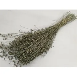 Lin ice green +/-100gr