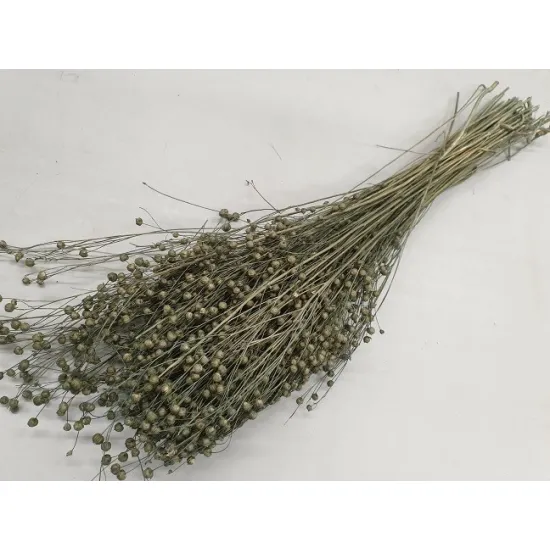 Linum (vlas) ice green +/-100gr