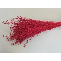 Linum (vlas) rood +/-100gr