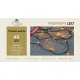 Guirlande led (indoor & outdoor) 40l classic white ip44 timer 8/16h