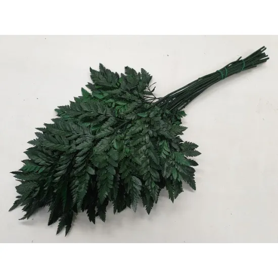 Fougère vert stabilise +/-25pcs