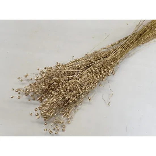 Linum (vlas) goud +/-100gr