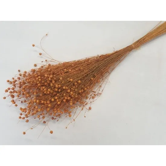 Lin orange (apricot) +/-100gr
