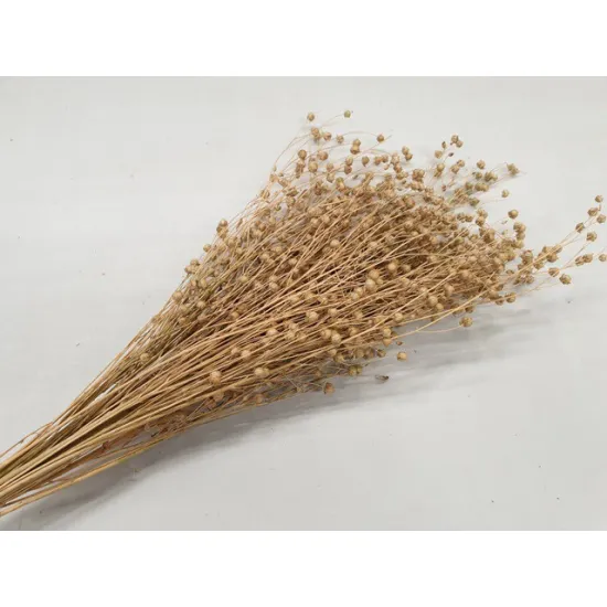 Linum (vlas) naturel +/-100gr