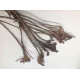 Natray naturel 10pcs