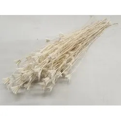 Nigella orientalis gebleekt +/-100gr