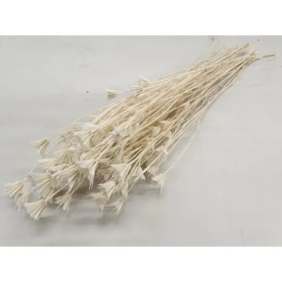 Nigella orientalis gebleekt +/-100gr