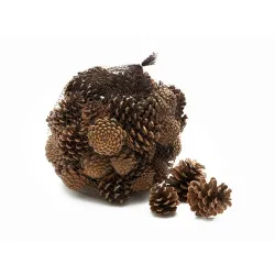 Austriaca (pinus nigra) naturel +/1kg