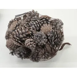 Austriaca (pinus nigra) white wash +/1kg