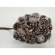 Austriaca (pinus nigra) neigeux +/1kg