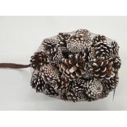 Austriaca (pinus nigra) neigeux +/1kg