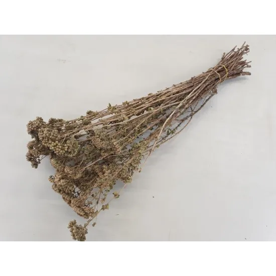 Origanum naturel